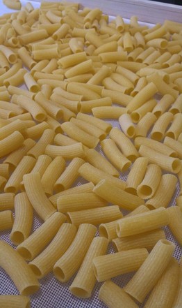 rigatoni 2.jpg